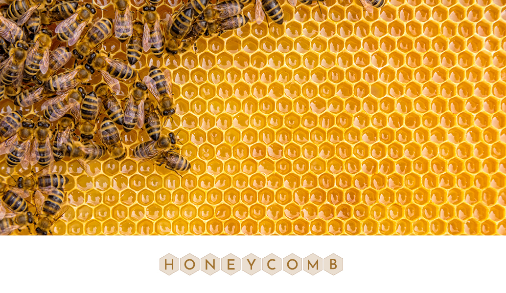 Lenses Jai Kudo Lenses